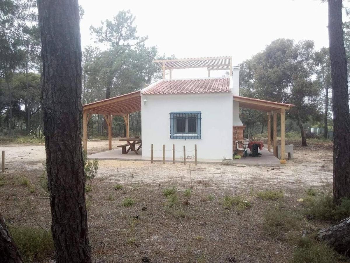 Casa Do Pinheiro - Parque Natural Da Ria Formosa. Tavira Dış mekan fotoğraf