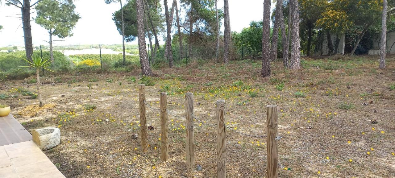 Casa Do Pinheiro - Parque Natural Da Ria Formosa. Tavira Dış mekan fotoğraf