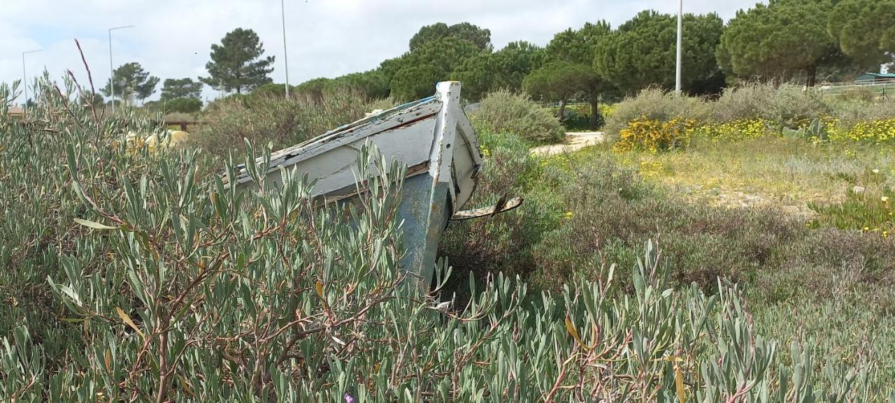 Casa Do Pinheiro - Parque Natural Da Ria Formosa. Tavira Dış mekan fotoğraf