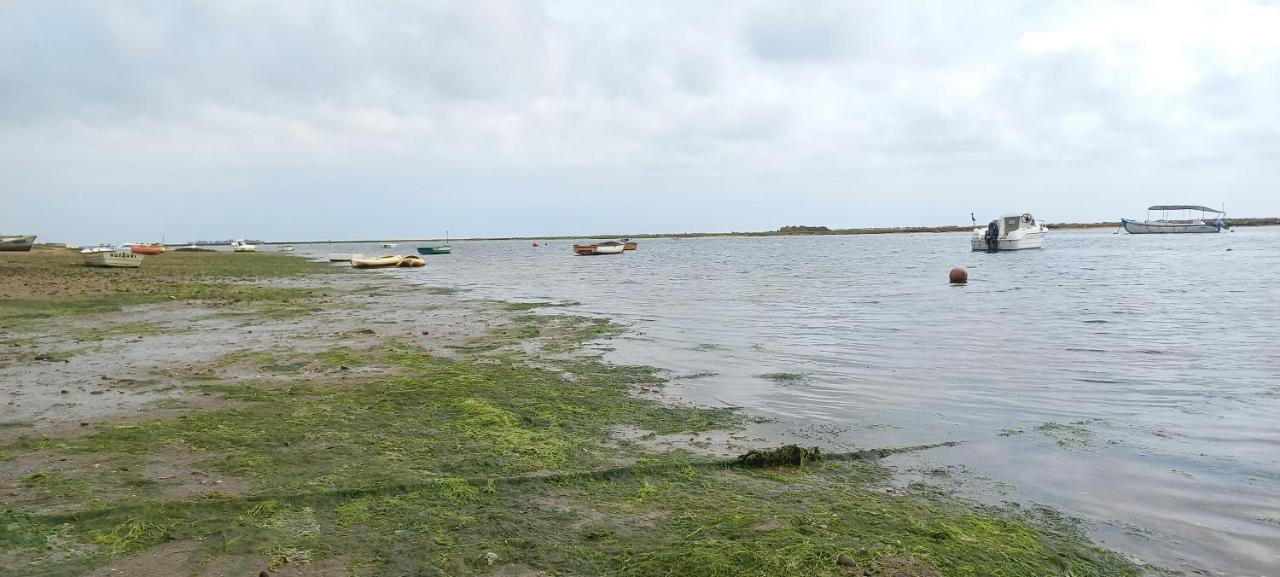 Casa Do Pinheiro - Parque Natural Da Ria Formosa. Tavira Dış mekan fotoğraf