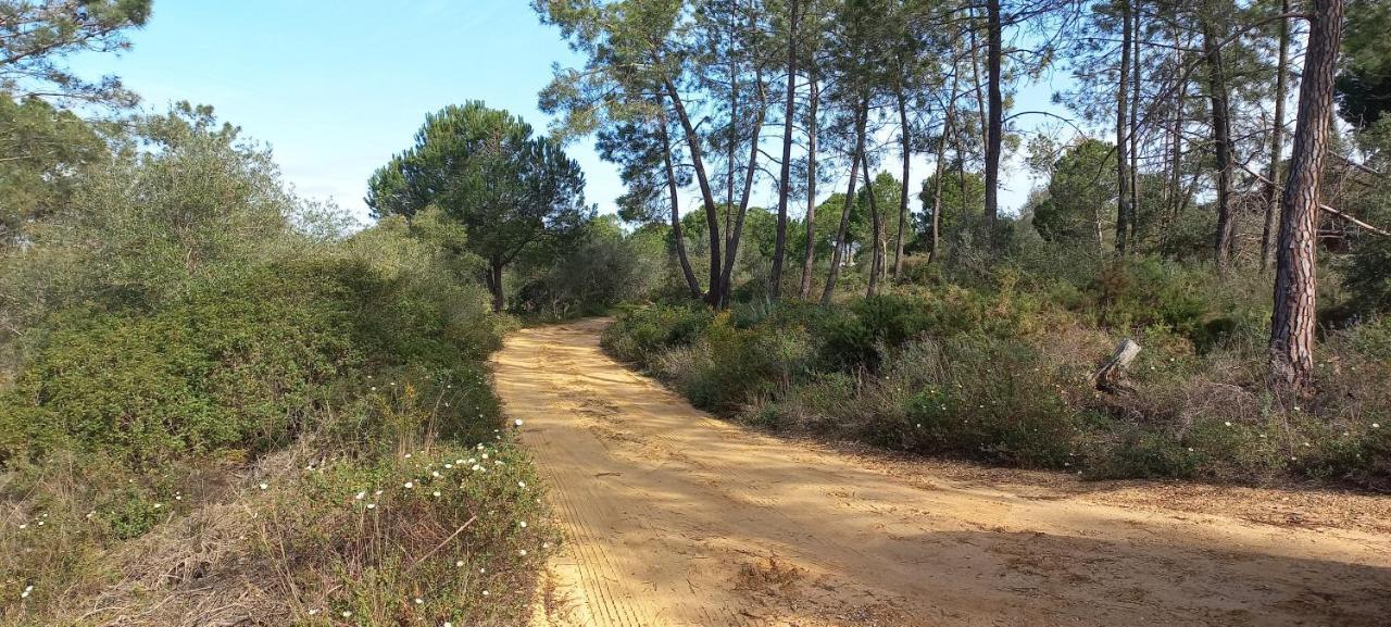 Casa Do Pinheiro - Parque Natural Da Ria Formosa. Tavira Dış mekan fotoğraf