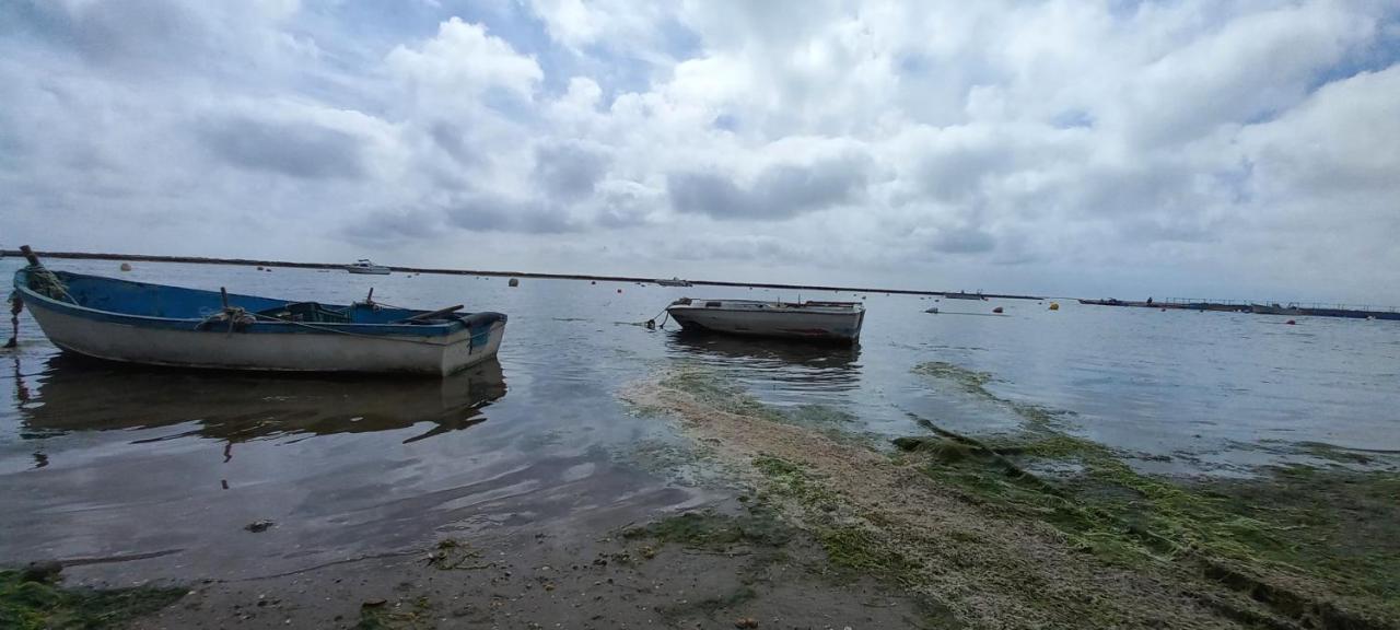 Casa Do Pinheiro - Parque Natural Da Ria Formosa. Tavira Dış mekan fotoğraf